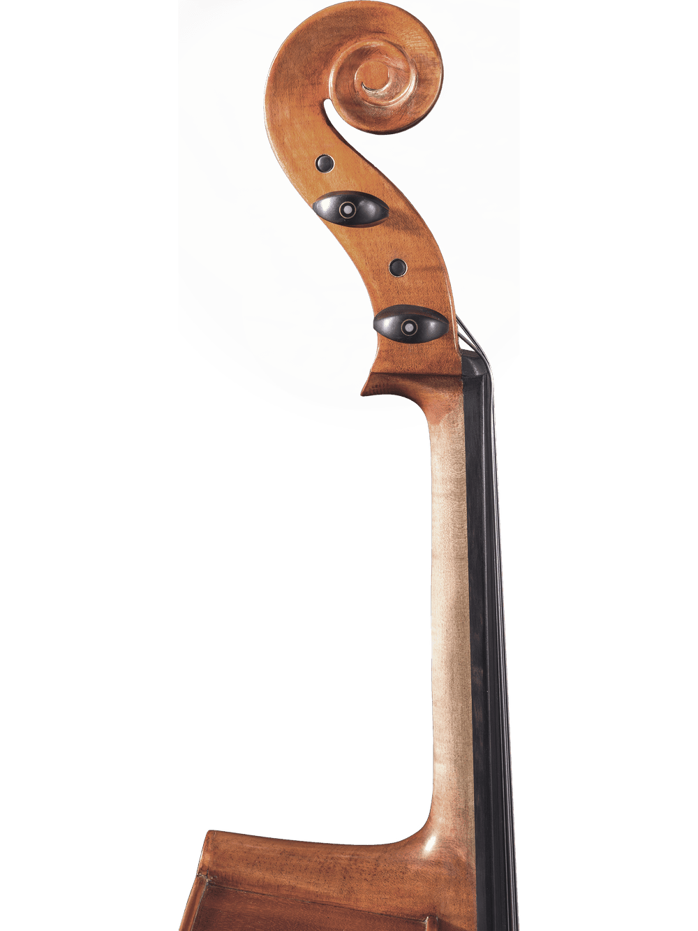 Close-up of the scroll, tuning pegs, and upper neck of a Canzona Milano 400 Cello Outfit against a plain white background.
