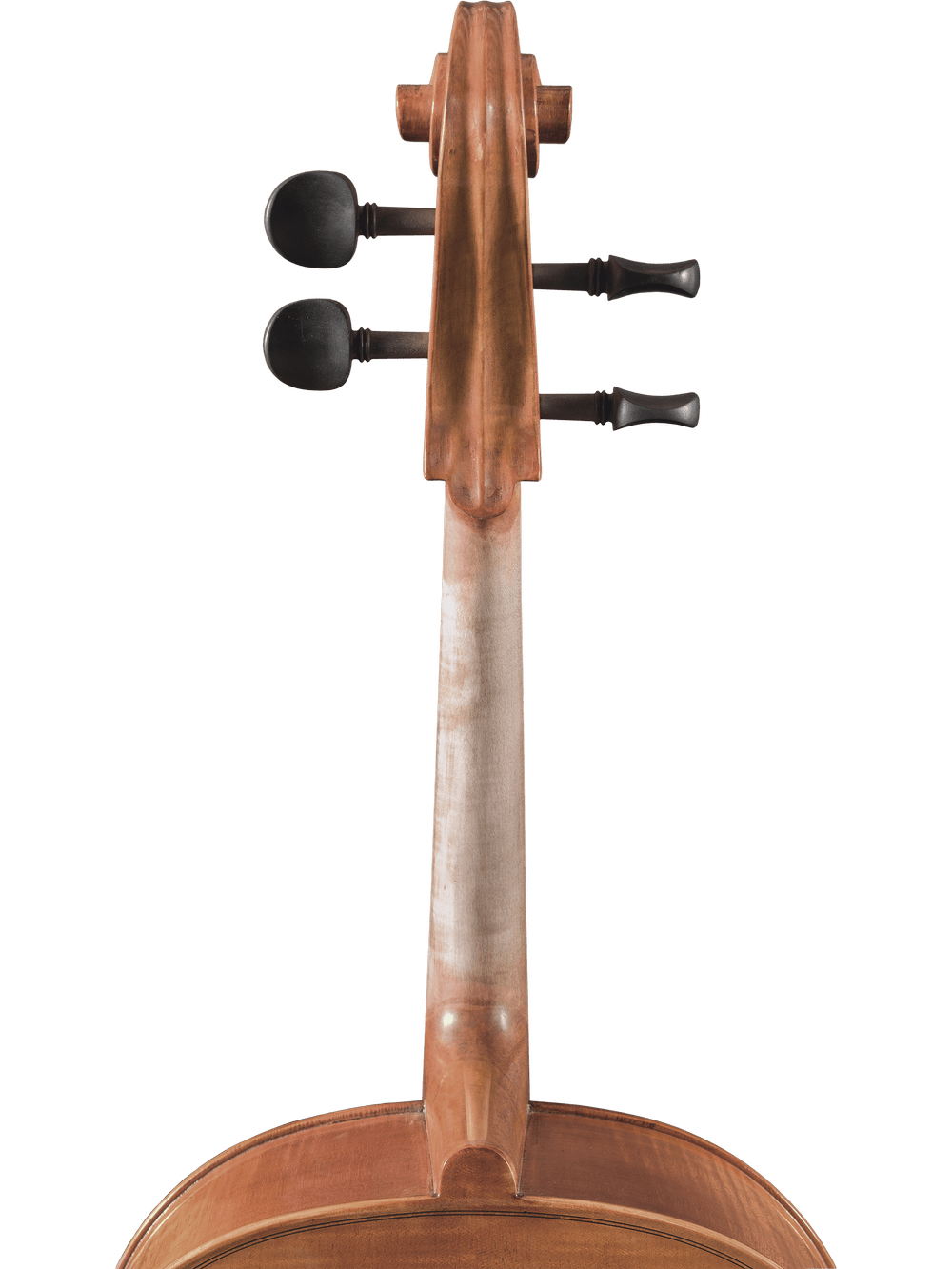 Close-up of the Canzona Milano 400 Cello Outfit’s hand-carved neck and scroll, featuring two black tuning pegs per side, with a glimpse of the instrument’s body at the bottom.