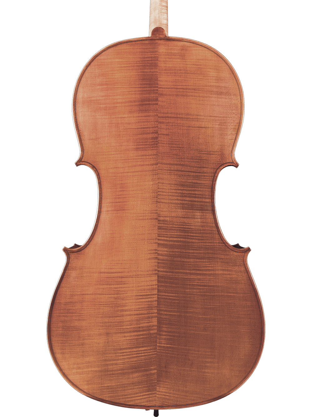 A close-up of the Canzona Milano 400 Cello Outfit’s back highlights its smooth, polished finish and unique wood grain patterns against a white background.