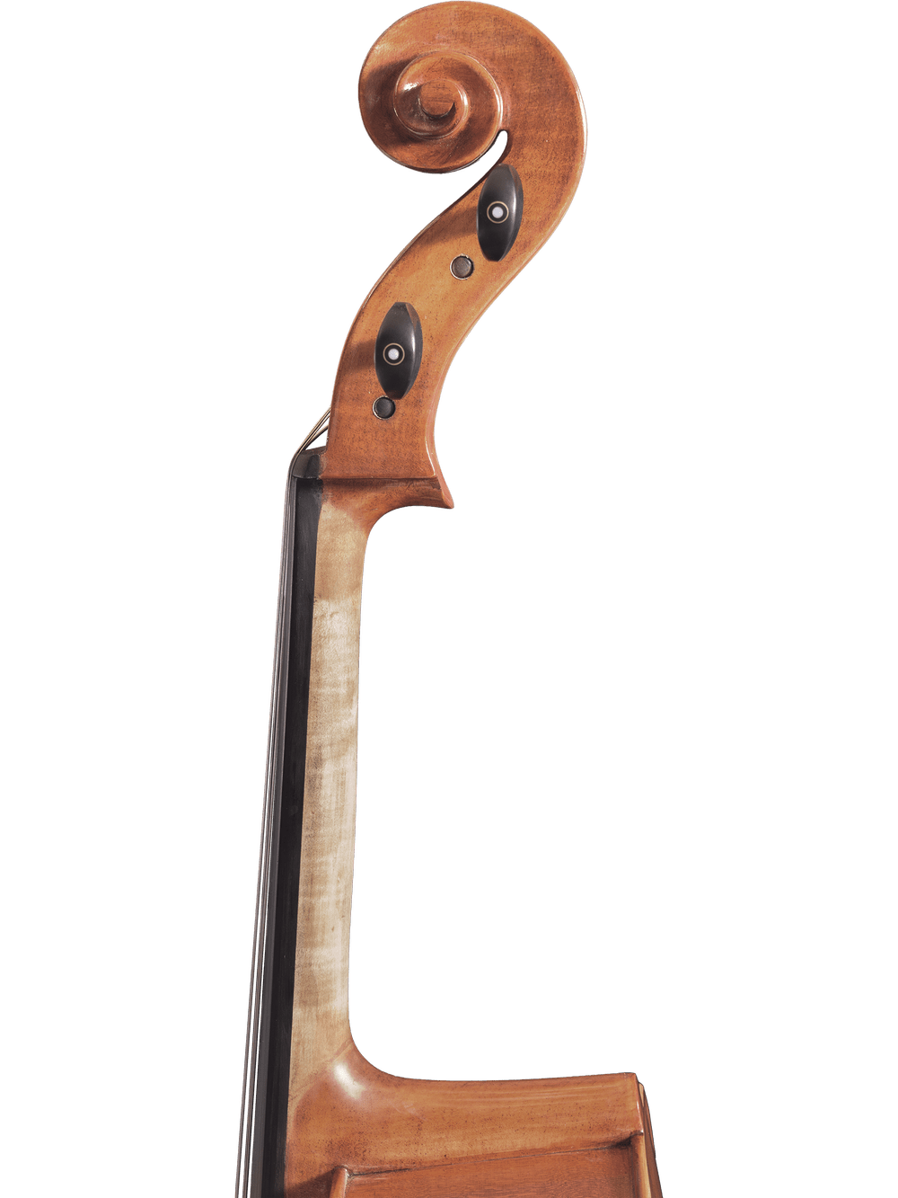 Close-up of the scroll and neck of a Canzona Milano 400 Cello Outfit against a plain white background, showing clearly visible tuning pegs on the hand-carved cello.