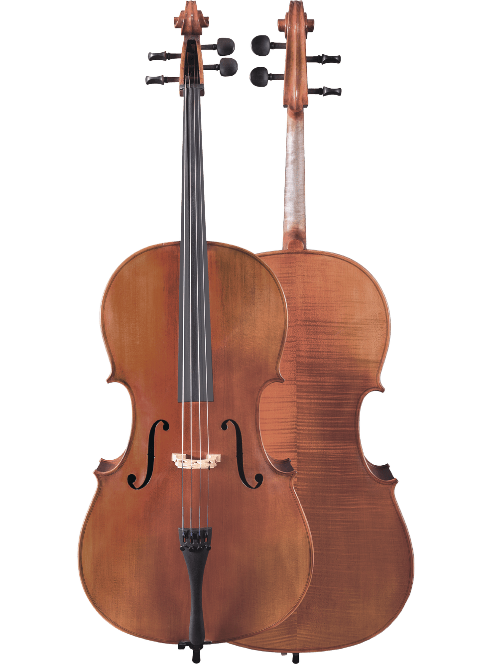 Two Canzona Milano 400 Cello Outfits are shown; one displays its strings and f-holes, the other reveals its smooth, polished brown back. Both hand-carved cellos stand upright, highlighting their craftsmanship and elegant finish.