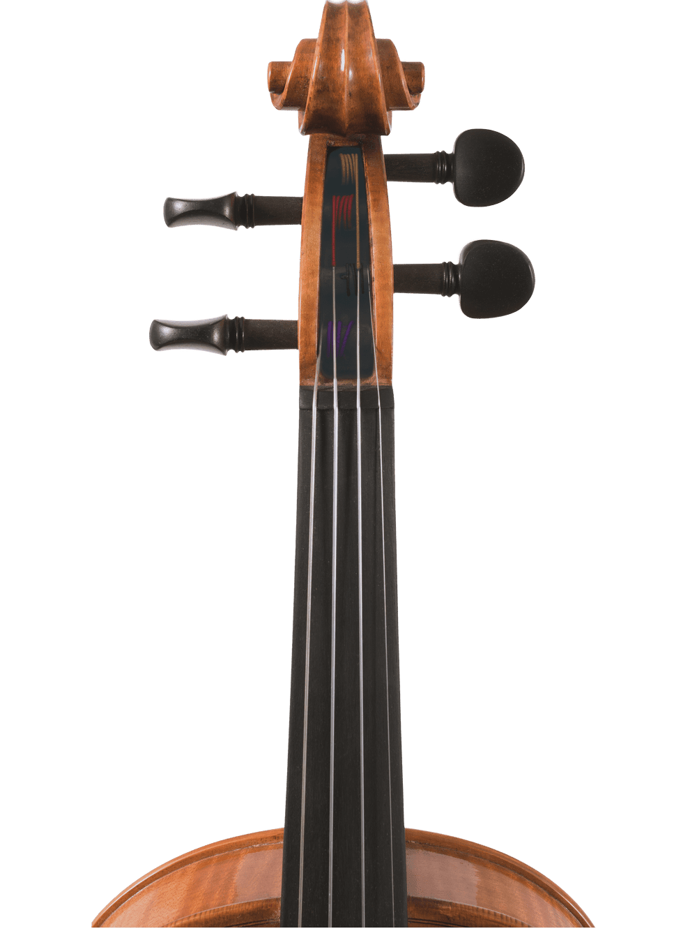 Close-up view of the upper neck, fingerboard, and tuning pegs of a hand-carved Canzona Milano 400 Series Viola Outfit against a plain white background.