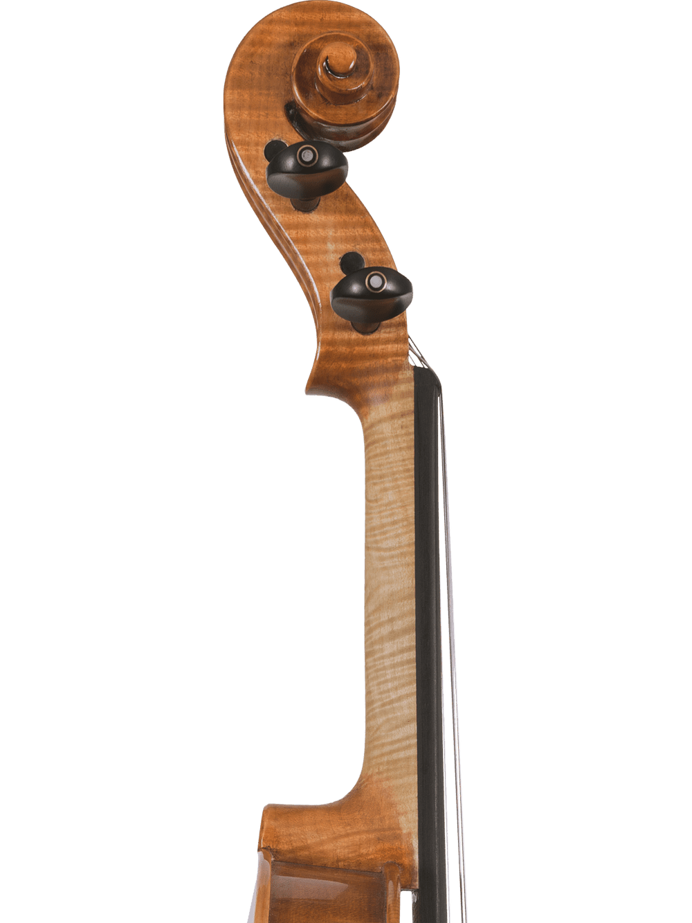 Close-up side view of the Canzona Milano 400 Series Viola Outfit’s hand-carved scroll and pegbox, highlighting the curved shape, tuning pegs, and part of the fingerboard against a plain white background.