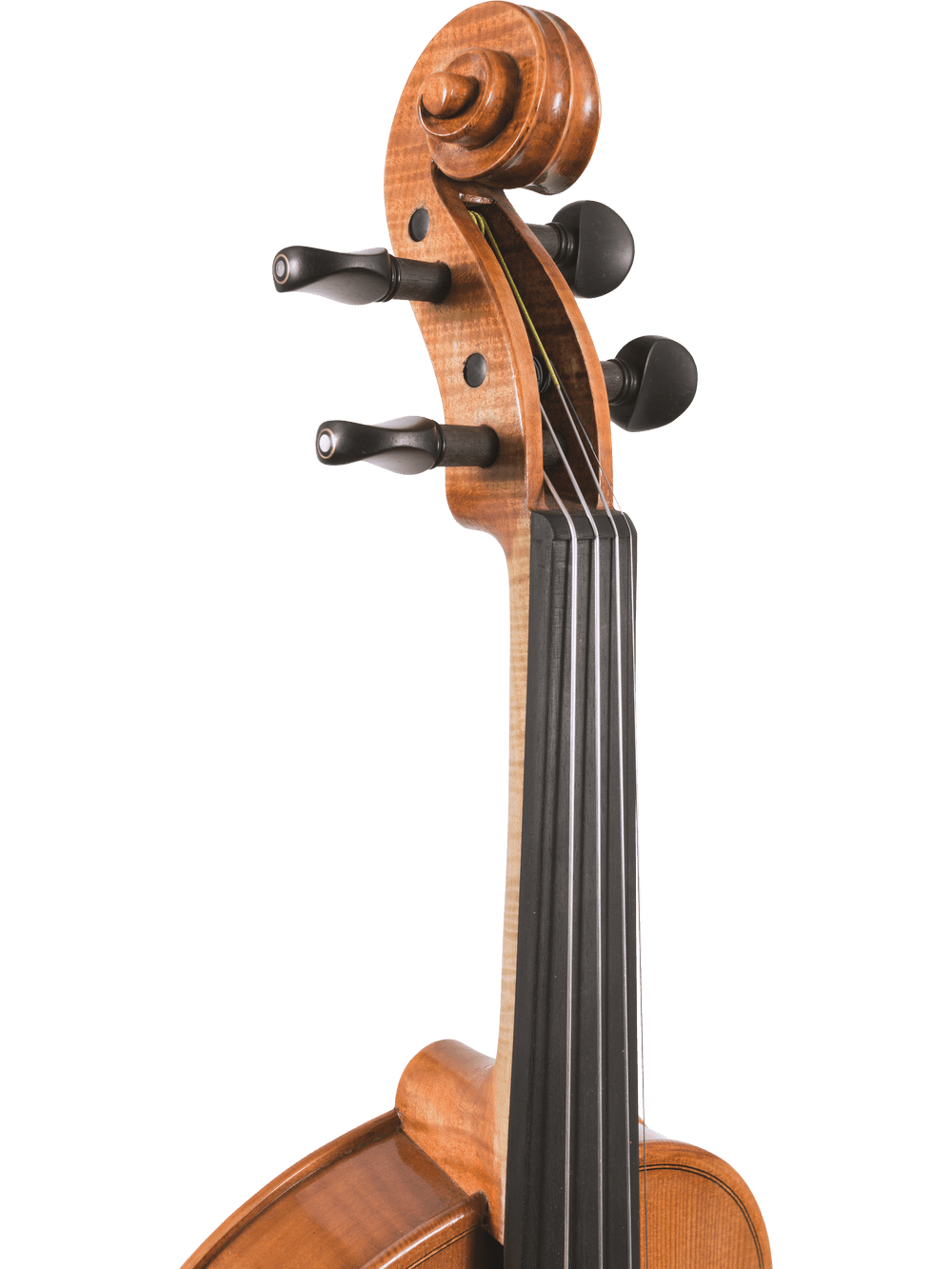 Close-up of the Canzona Milano 400 Series Viola Outfit’s scroll, pegs, and upper fingerboard highlighting the wood grain and dark tuning pegs against a white background.