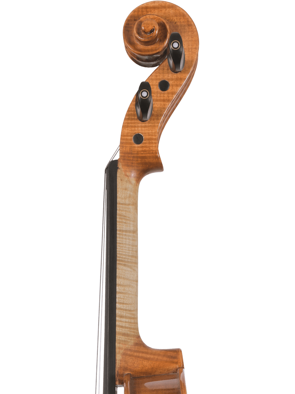 Close-up of the Canzona Milano 400 Series Viola Outfit scroll and pegbox, featuring tuning pegs and wood grain detail on the neck against a plain white background.
