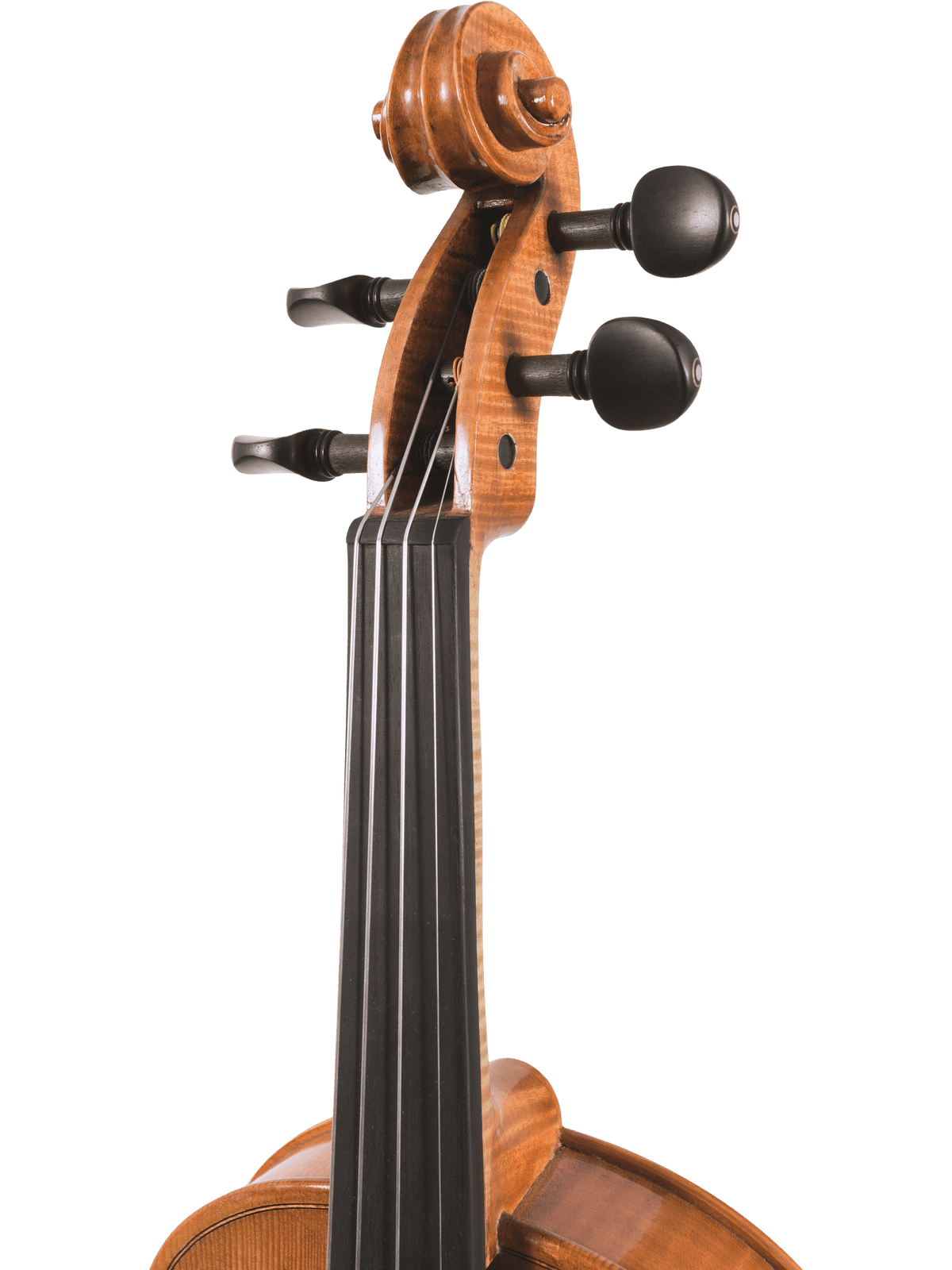 Canzona Milano Violin Outfit