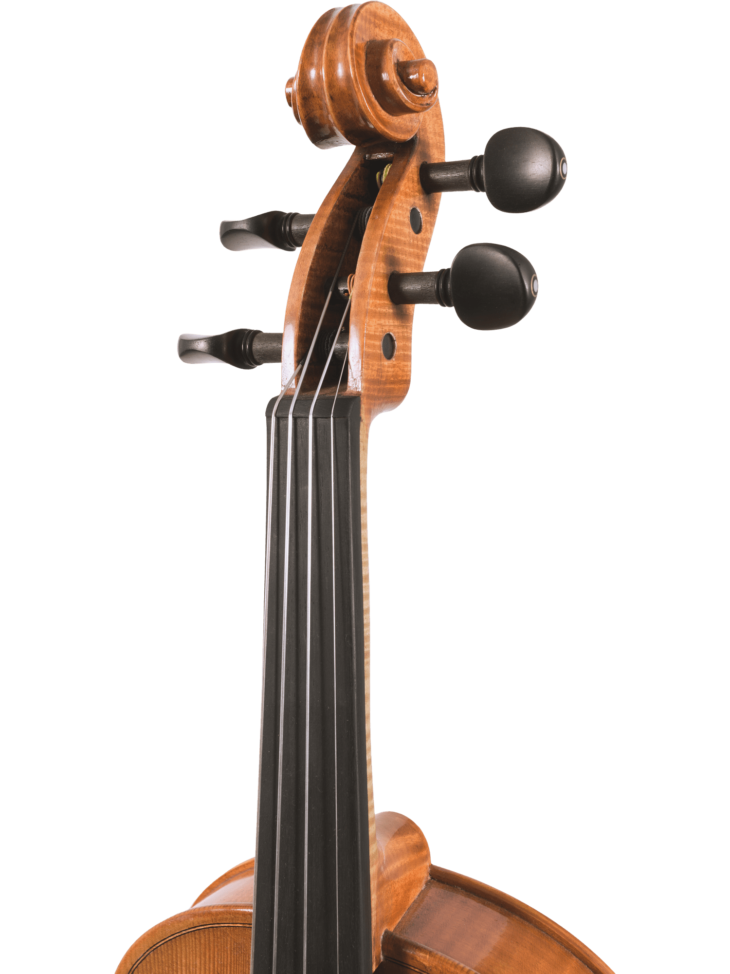 Close-up of the neck and scroll of the Canzona Milano Violin Outfit, showing tuning pegs, fingerboard, and part of the body against a white background.