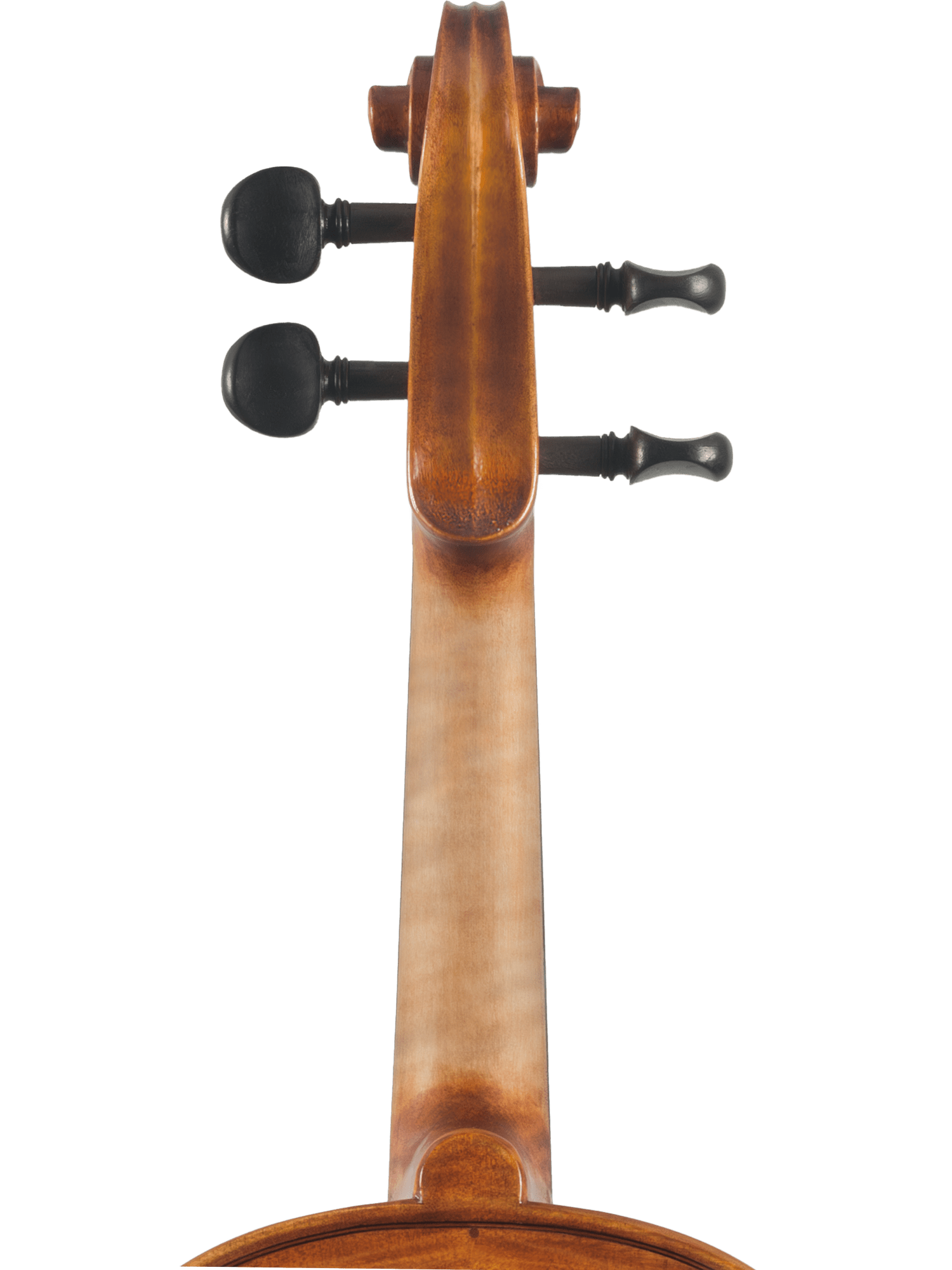 Close-up of the back of a hand-carved Canzona Milano Violin Outfit scroll and neck with tuning pegs against a white background—perfect for advanced student practice.