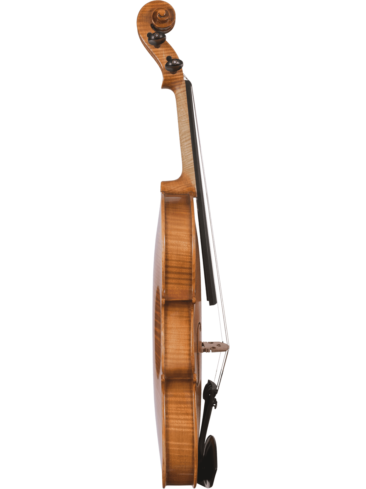 Canzona Milano Violin Outfit