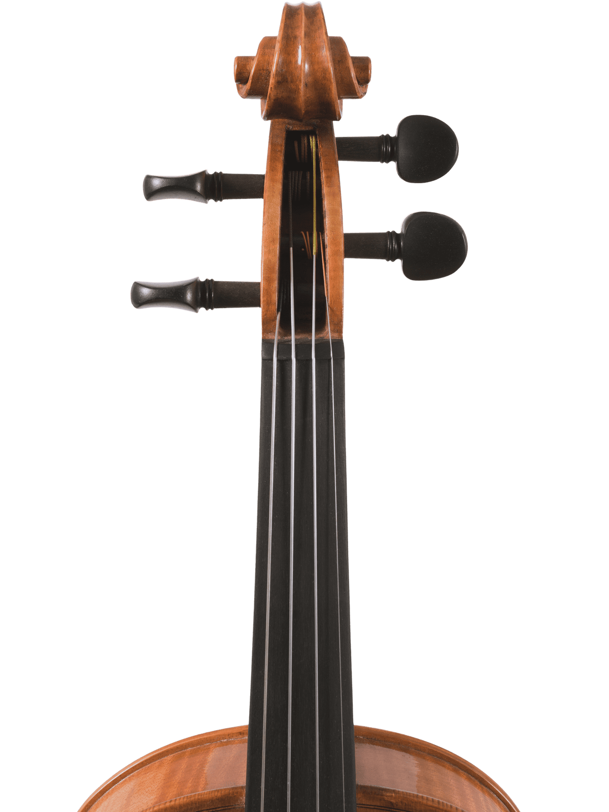 Canzona Milano Violin Outfit