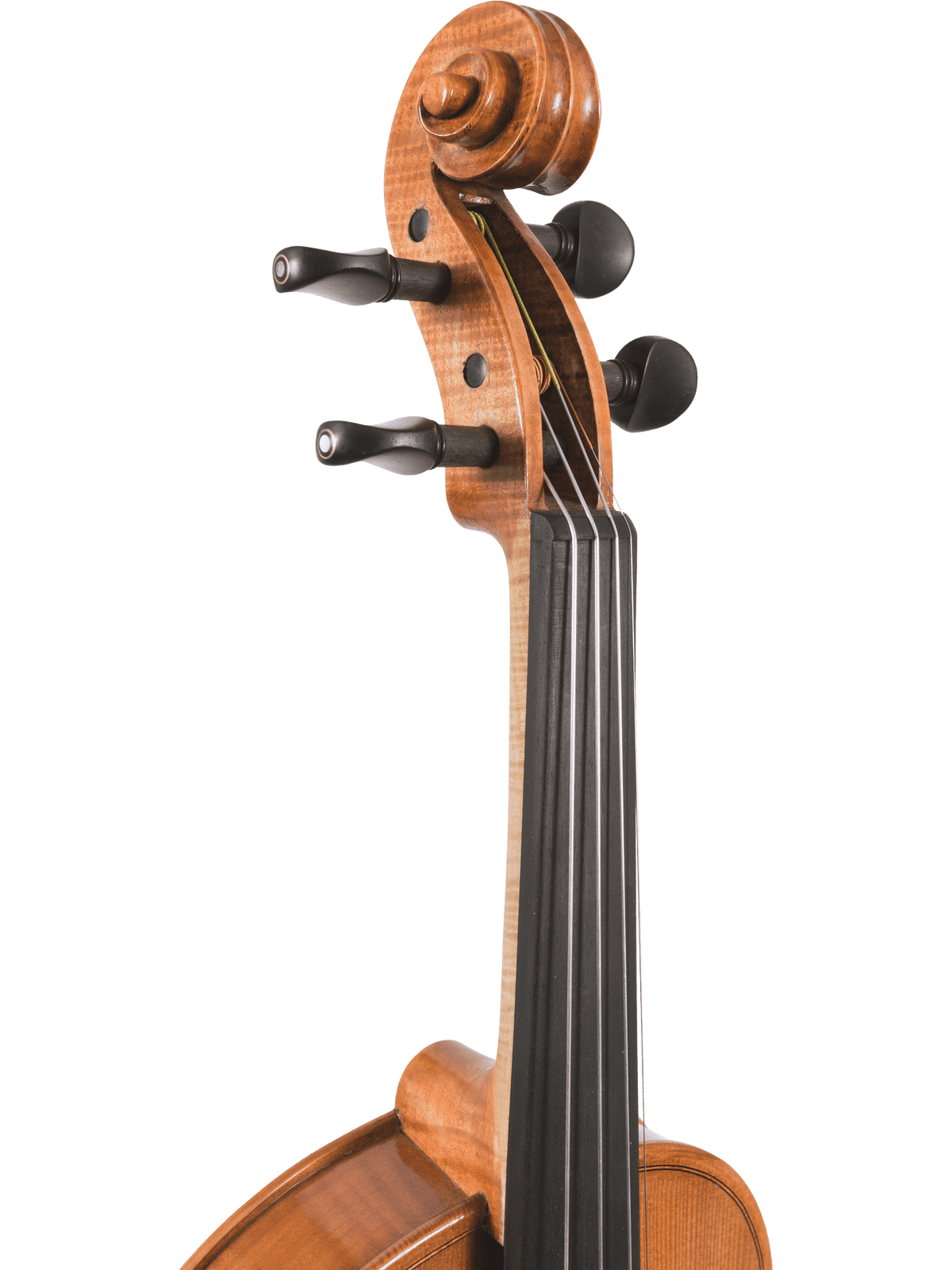 Canzona Milano Violin Outfit