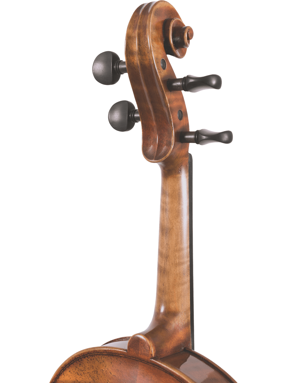 Close-up of the Canzona Pietro Locatelli Violin Outfit’s hand-carved scroll and tuning pegs, highlighting the upper neck and part of the body—showcasing fine craftsmanship—against a white background.