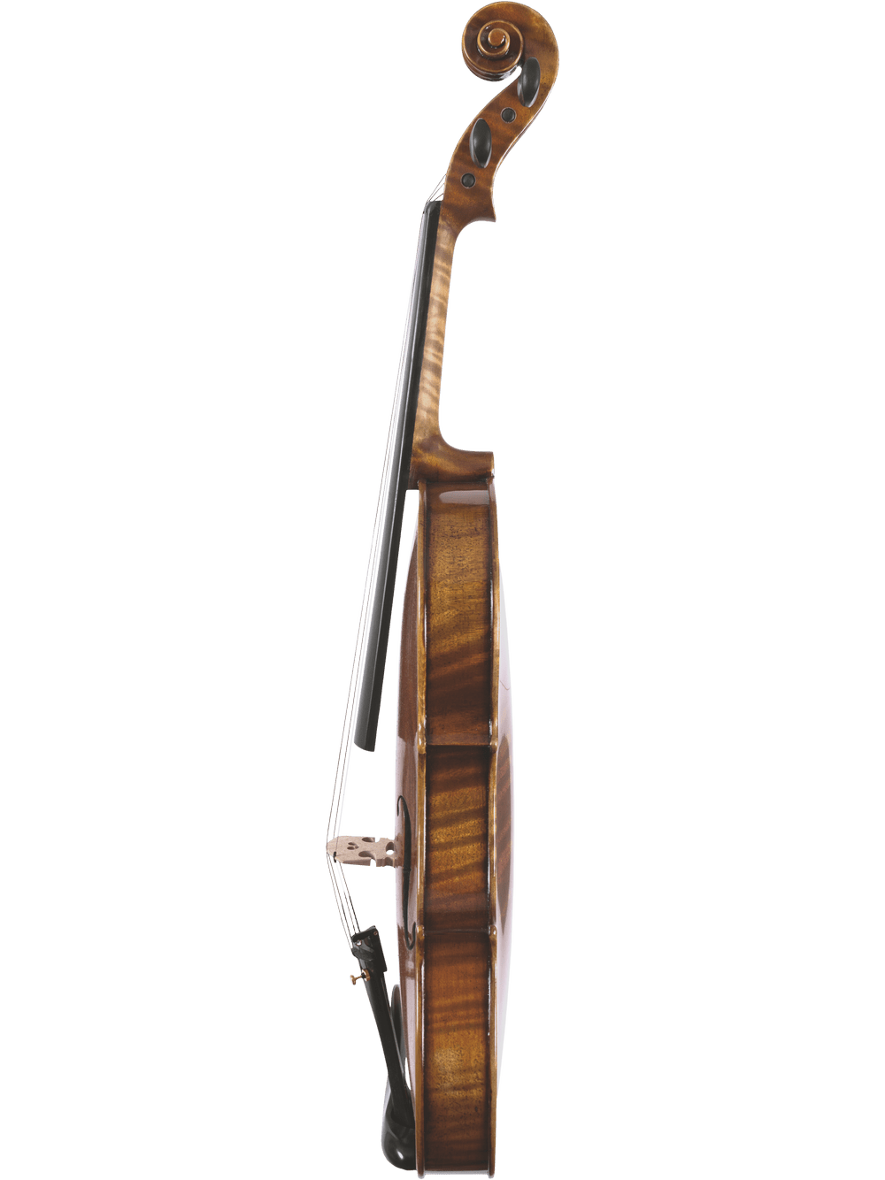 The Canzona Pietro Locatelli Violin Outfit is displayed in vertical side profile against a white background, highlighting its scroll, curved body, and fine wooden grain.