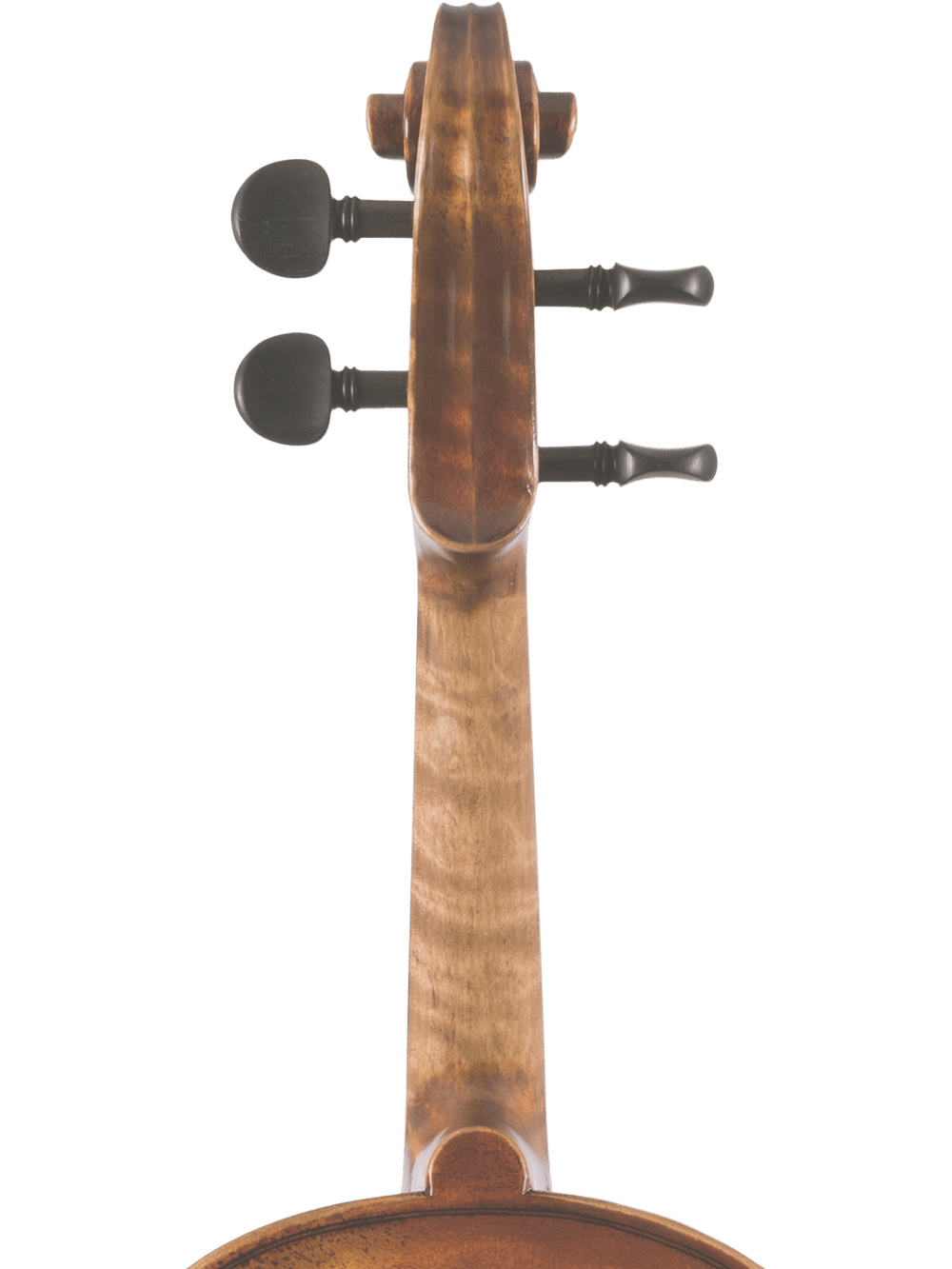 Close-up of the hand-carved scroll and tuning pegs on the Canzona Pietro Locatelli Violin Outfit, shown against a white background.