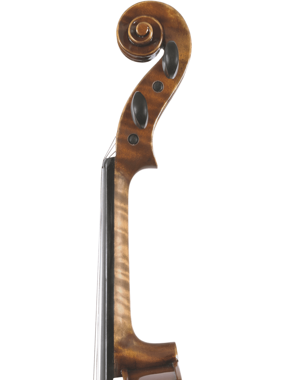 Close-up of the Canzona Pietro Locatelli Violin Outfit’s hand-carved scroll and pegbox, featuring rich brown wood and tuning pegs, set against a plain white background.