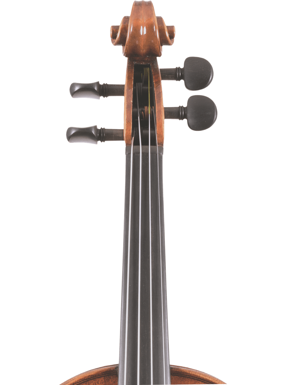 Close-up of the Canzona Pietro Locatelli Violin Outfit's upper section, highlighting its hand-carved scroll, tuning pegs, and fingerboard against a plain white background.