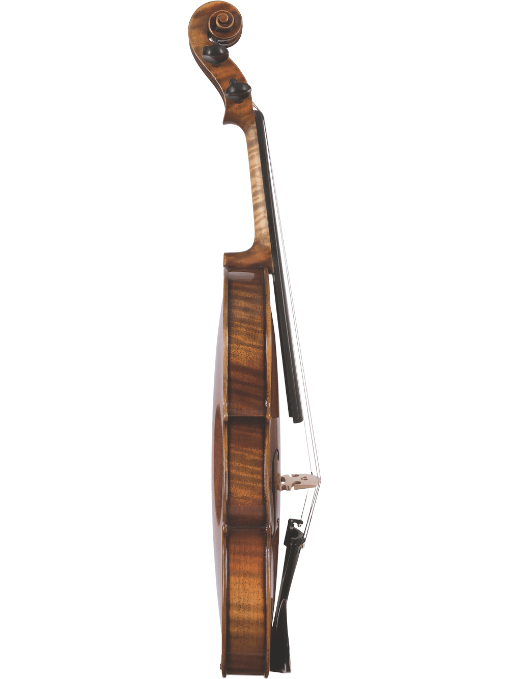 A side view of the Canzona Pietro Locatelli Violin Outfit, highlighting its hand-carved curves, tuning pegs, and bridge supporting the strings against a white background.