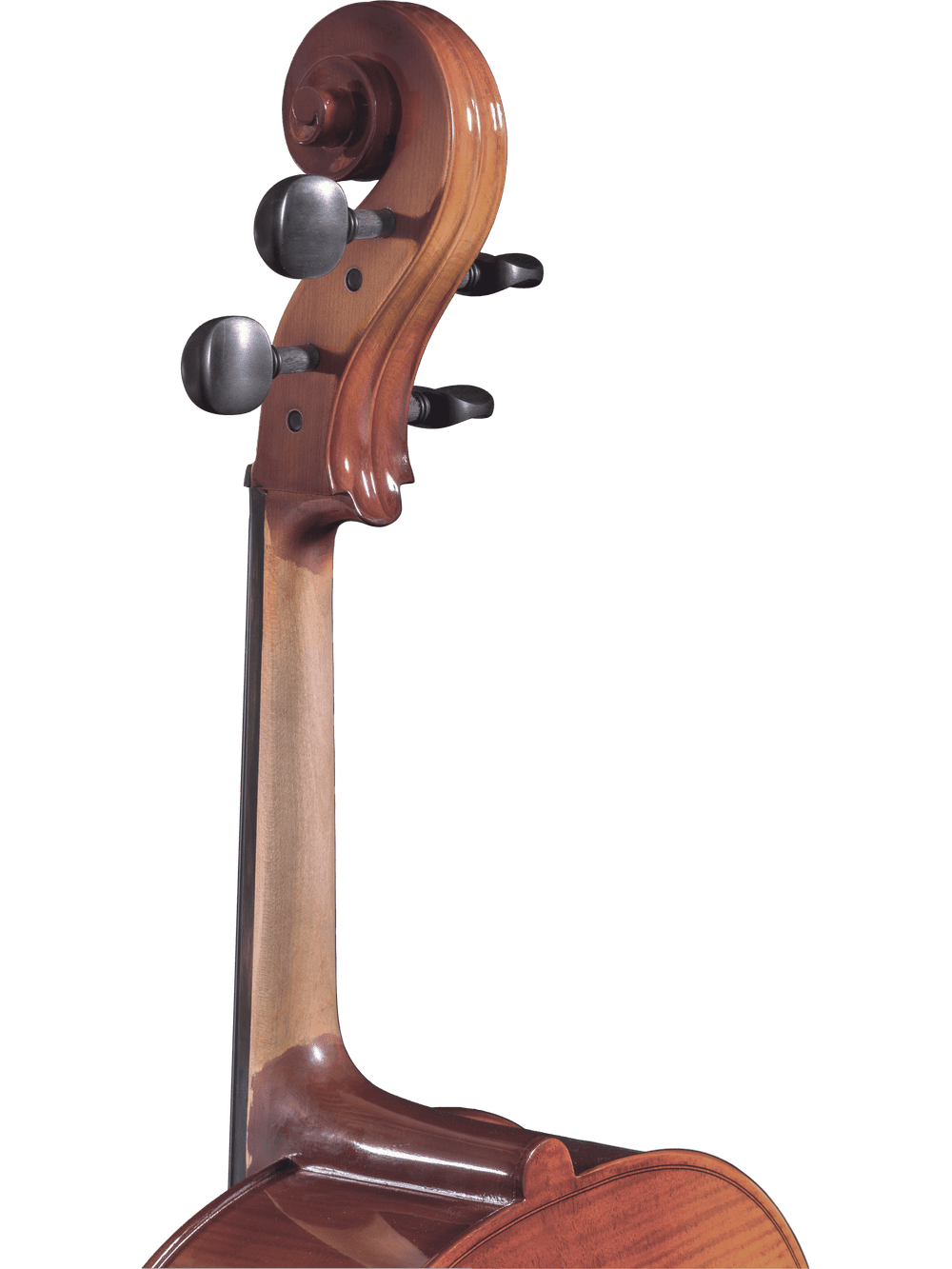 A close-up of the scroll, tuning pegs, and upper neck of a Canzona Sonata 200 Cello Outfit—a step-up instrument perfect for advancing students—shown against a plain white background.