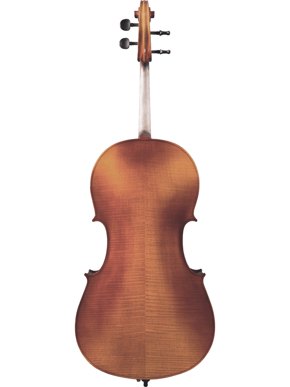 A full rear view of the Canzona Sonata 200 Cello Outfit displays its polished wood grain, elegant curves, and tuning pegs on a plain white background—perfect as a step-up instrument for advancing students.