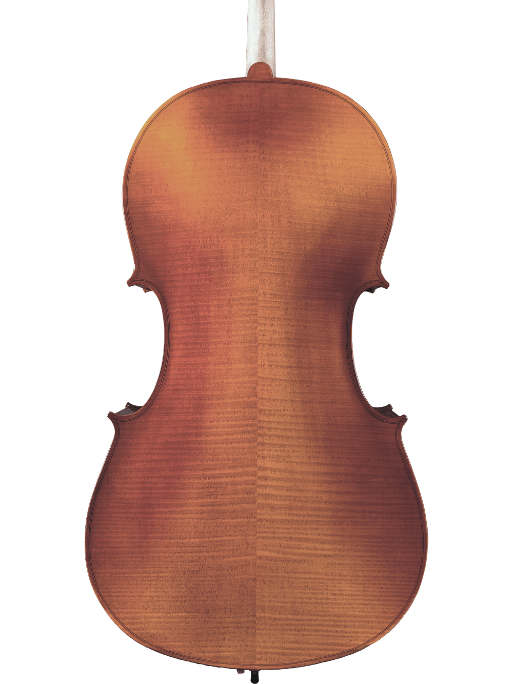 The back of a Canzona Sonata 200 Cello Outfit is shown, featuring a warm reddish-brown finish with visible grain and gentle curves—ideal as a step-up instrument for advancing students.