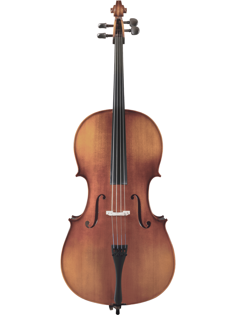 A full view of the Canzona Sonata 200 Cello Outfit with four strings, black fingerboard, and tuning pegs on a plain white background—an ideal step-up choice for advancing students.