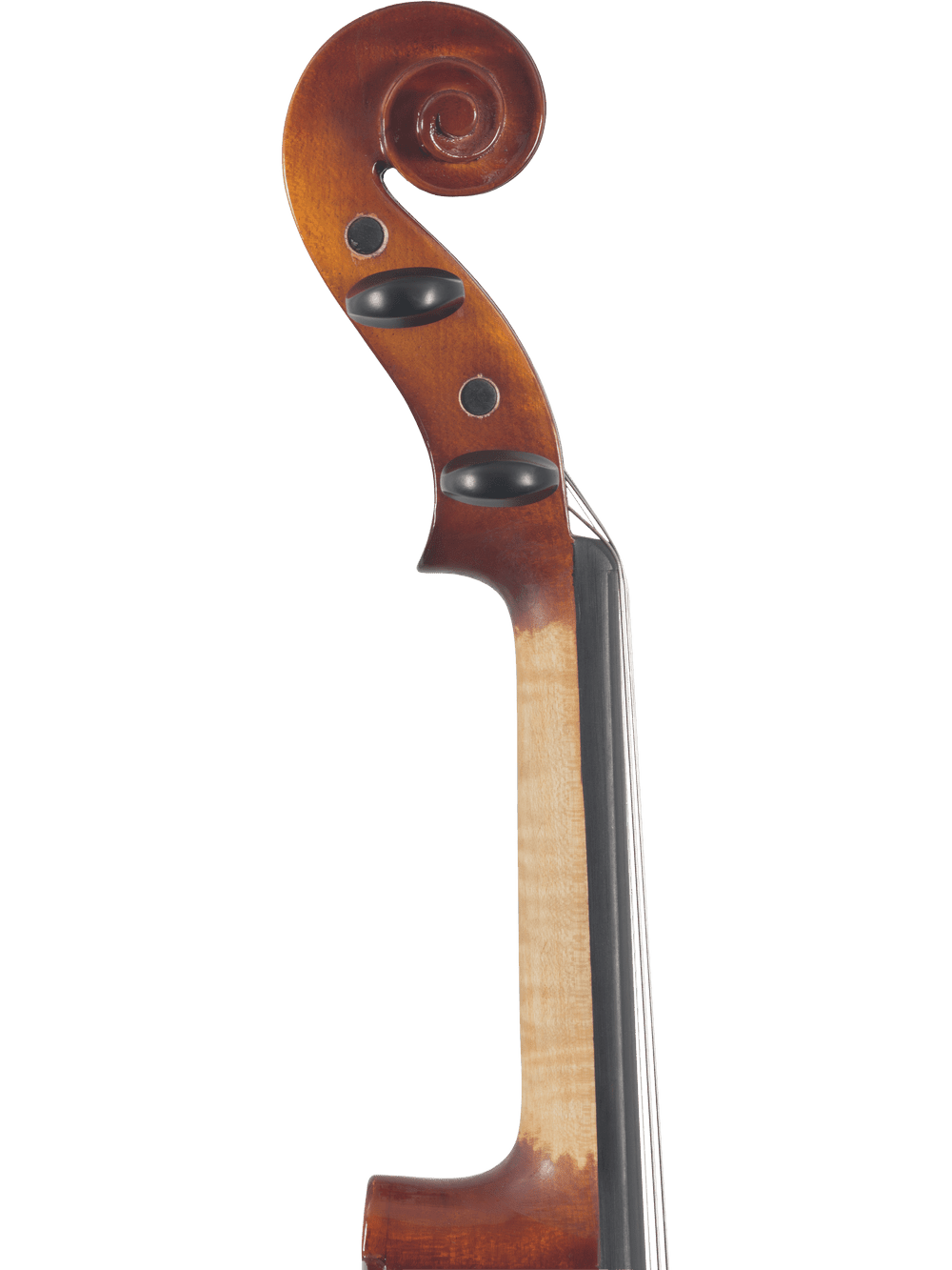 Close-up of a Canzona Sonata 200 Series Student Viola Outfit scroll and pegbox, featuring two black tuning pegs and polished, hand-carved spruce and maple with a light brown finish—perfect for advancing student violists.