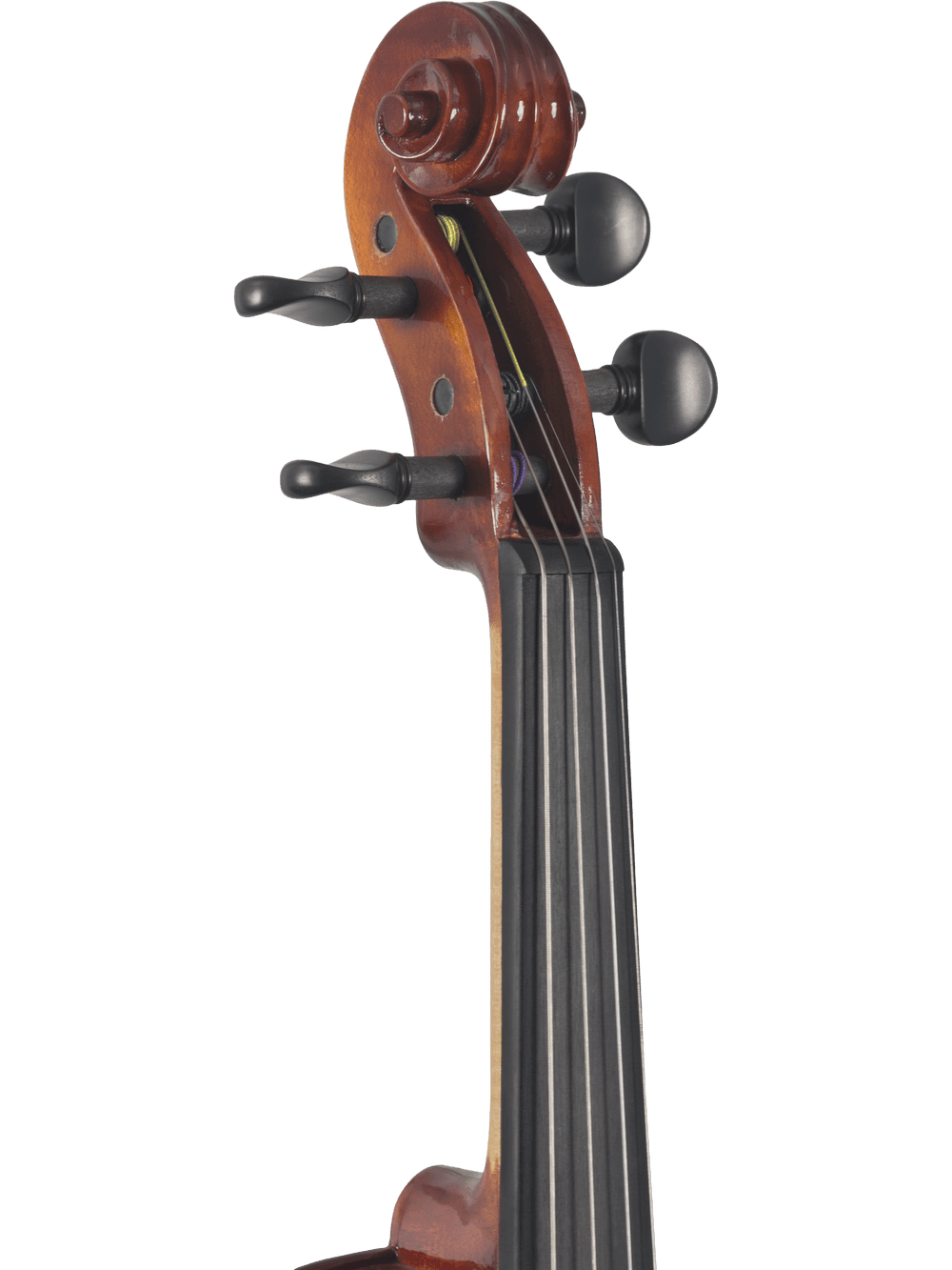 Close-up of the scroll, pegs, and upper fingerboard of the Canzona Sonata 200 Series Student Viola Outfit – Hand Carved Spruce & Maple, set against a white background—perfect for advancing students.