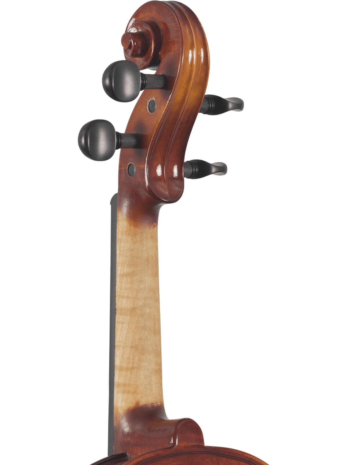 Canzona Sonata Student Violin Outfit | Hand-Carved