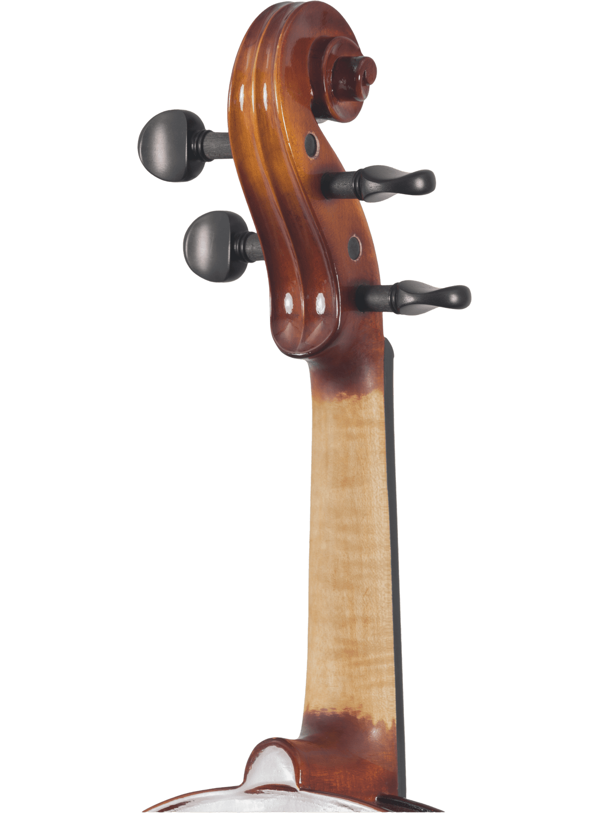 Canzona Sonata Student Violin Outfit | Hand-Carved