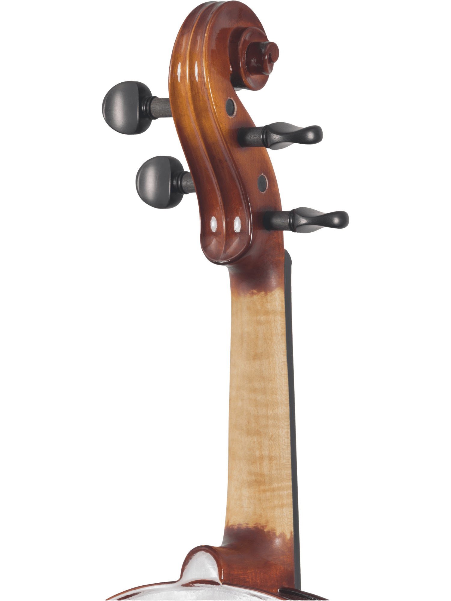 Close-up of the neck and tuning pegs of the Canzona Sonata Student Violin Outfit, highlighting its craftsmanship against a plain white background.