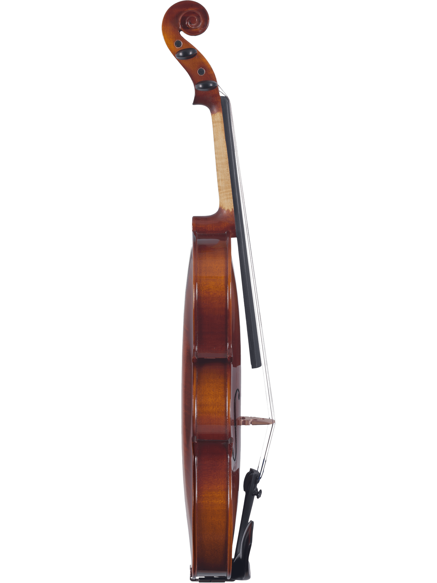 Side view of the Canzona Sonata Student Violin Outfit with a brown finish, showing scroll, neck, body, bridge, and chinrest—ideal for beginners—set against a white background.