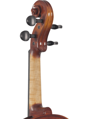 Close-up of the scroll, pegs, and upper neck of a Canzona Sonata Student Violin Outfit, a beginner instrument, set against a plain light background.