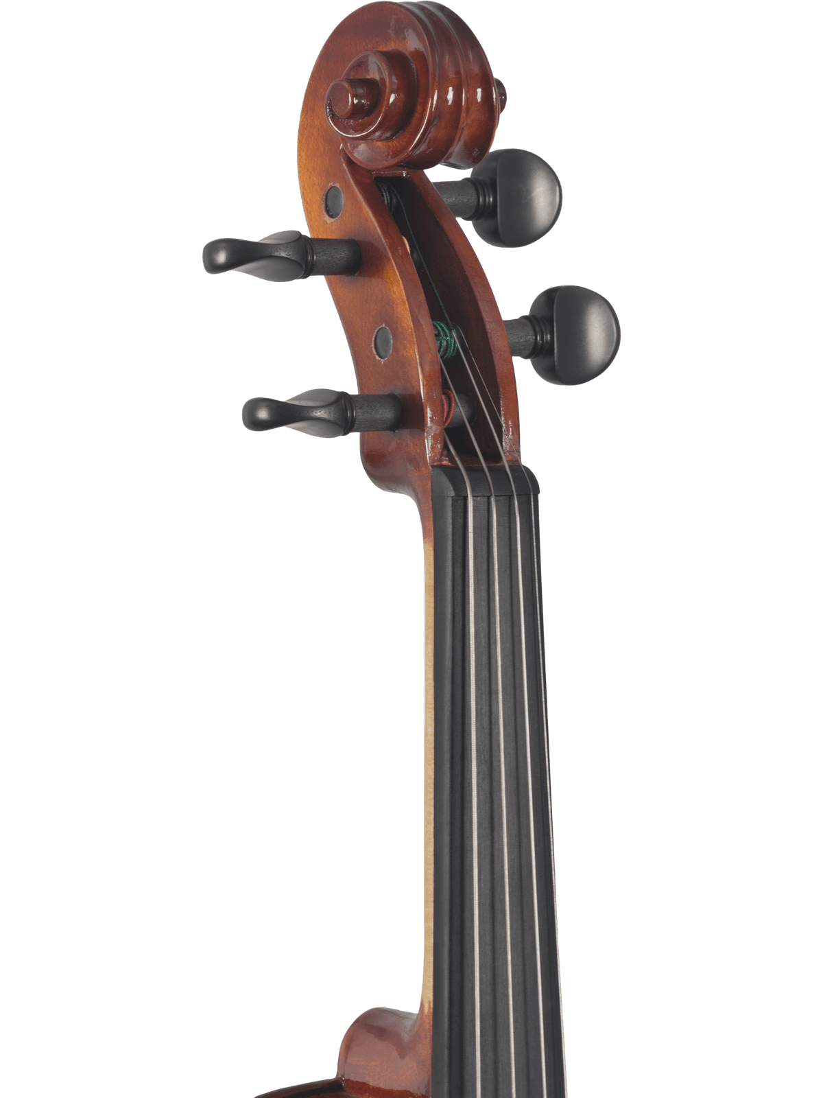 Canzona Sonata Student Violin Outfit | Hand-Carved