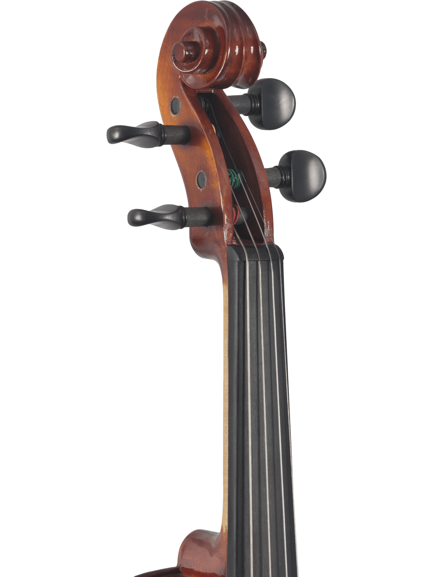 Close-up of the scroll, tuning pegs, fingerboard, and neck of the Canzona Sonata Student Violin Outfit against a white background.