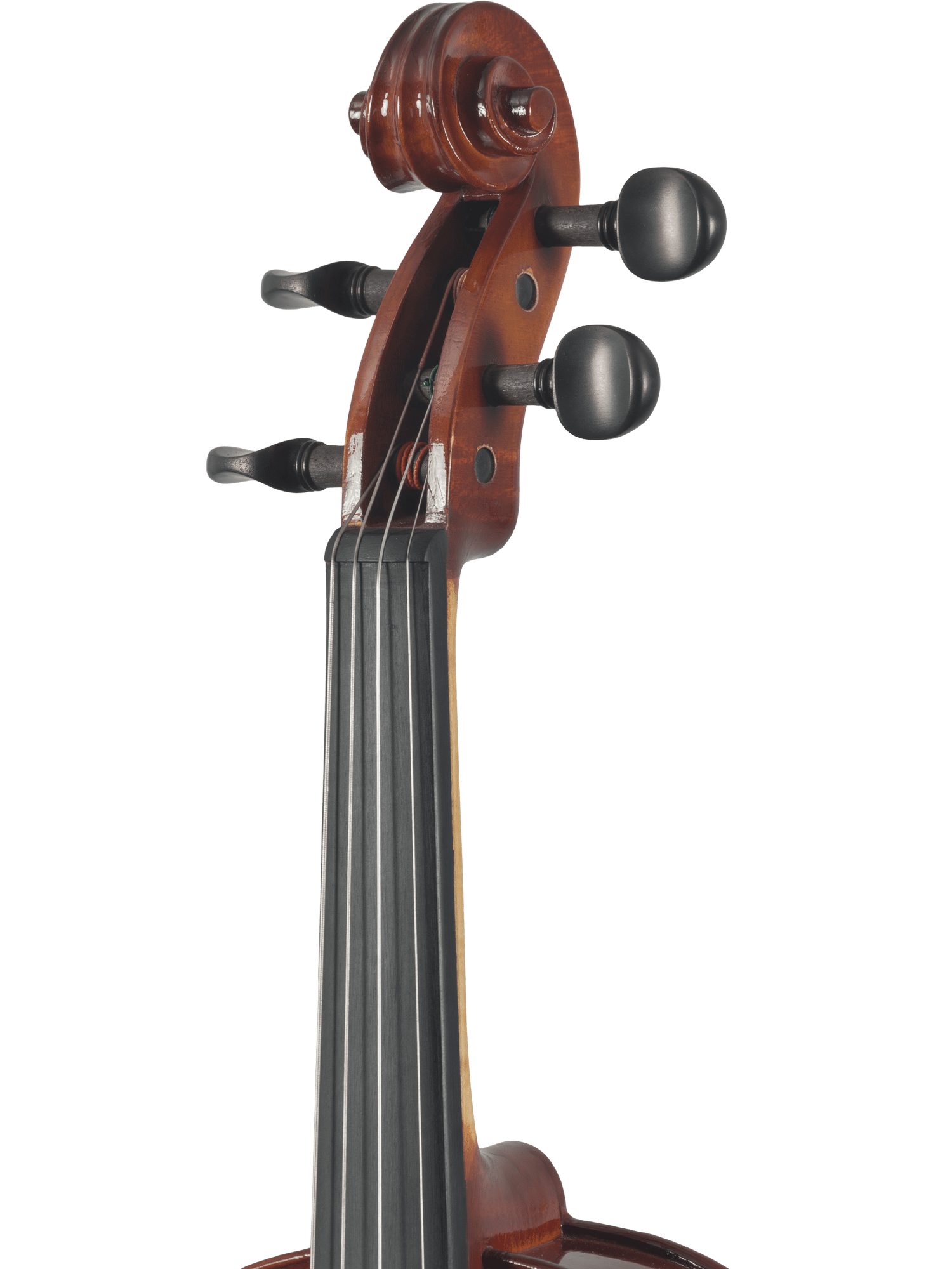 Close-up of the Canzona Sonata Student Violin Outfit’s scroll, pegbox, and fingerboard against a white background, highlighting four tuning pegs and the polished wood finish.