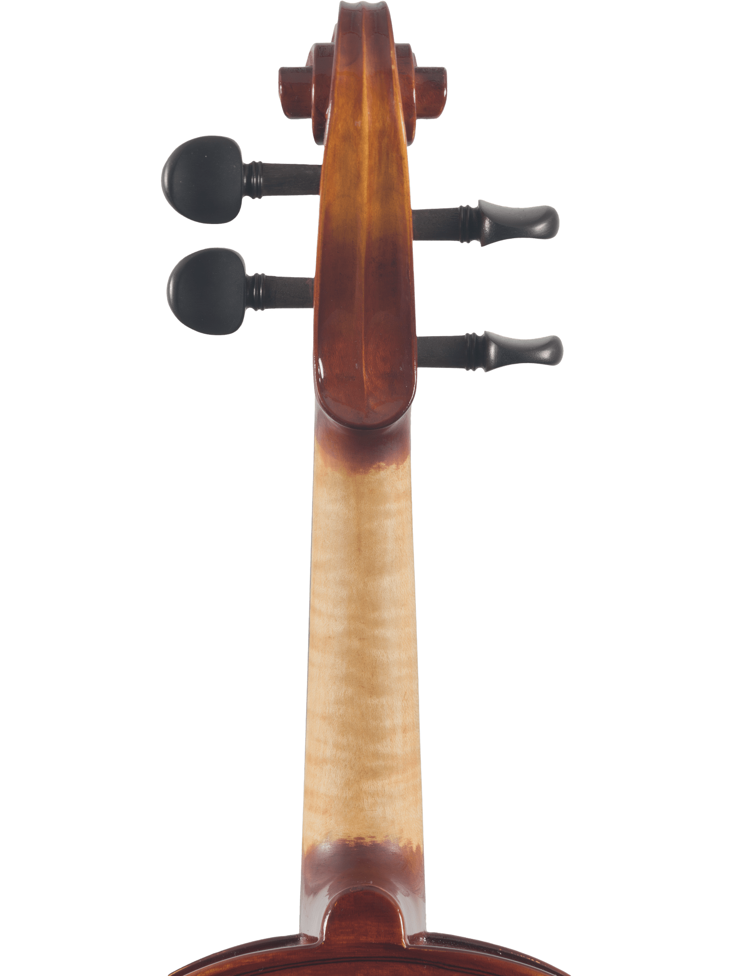 Close-up of the back of a Canzona Sonata Student Violin Outfit scroll and pegbox, showing two black tuning pegs against a plain white background.