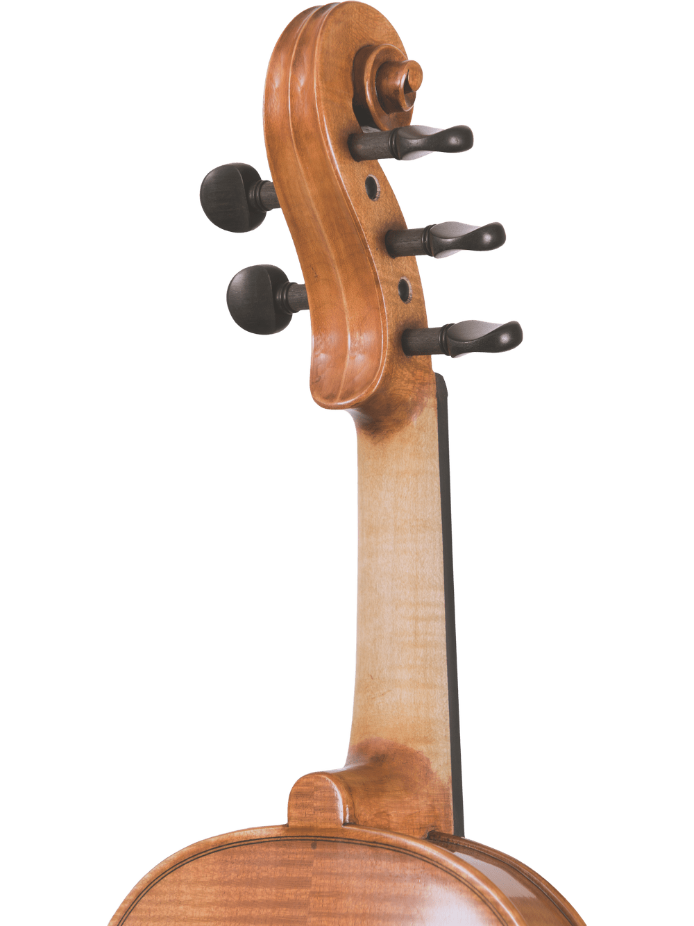 Close-up of the Canzona Violina Cinque 5-String Violin’s scroll, neck, and tuning pegs against a white background. The polished warm brown finish highlights the curves of this versatile educational instrument.