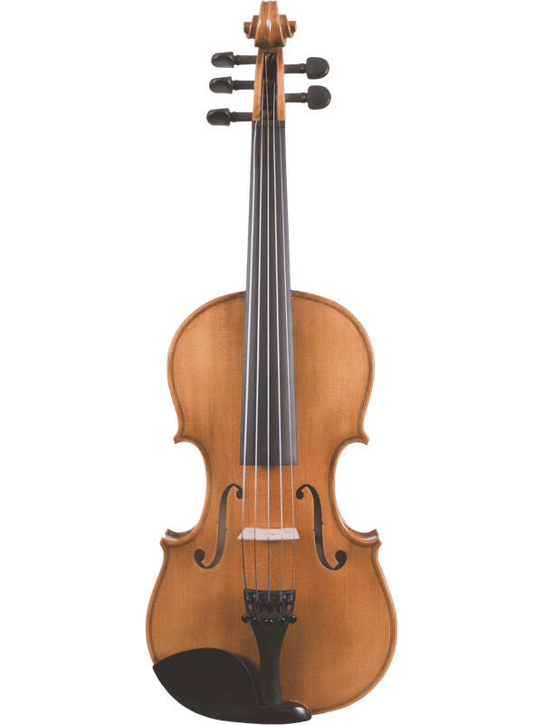 The Canzona Violina Cinque 5-String Violin, featuring four black tuning pegs, strings, and a black chin rest, is shown on a plain white background—an ideal educational instrument for both students and instructors.