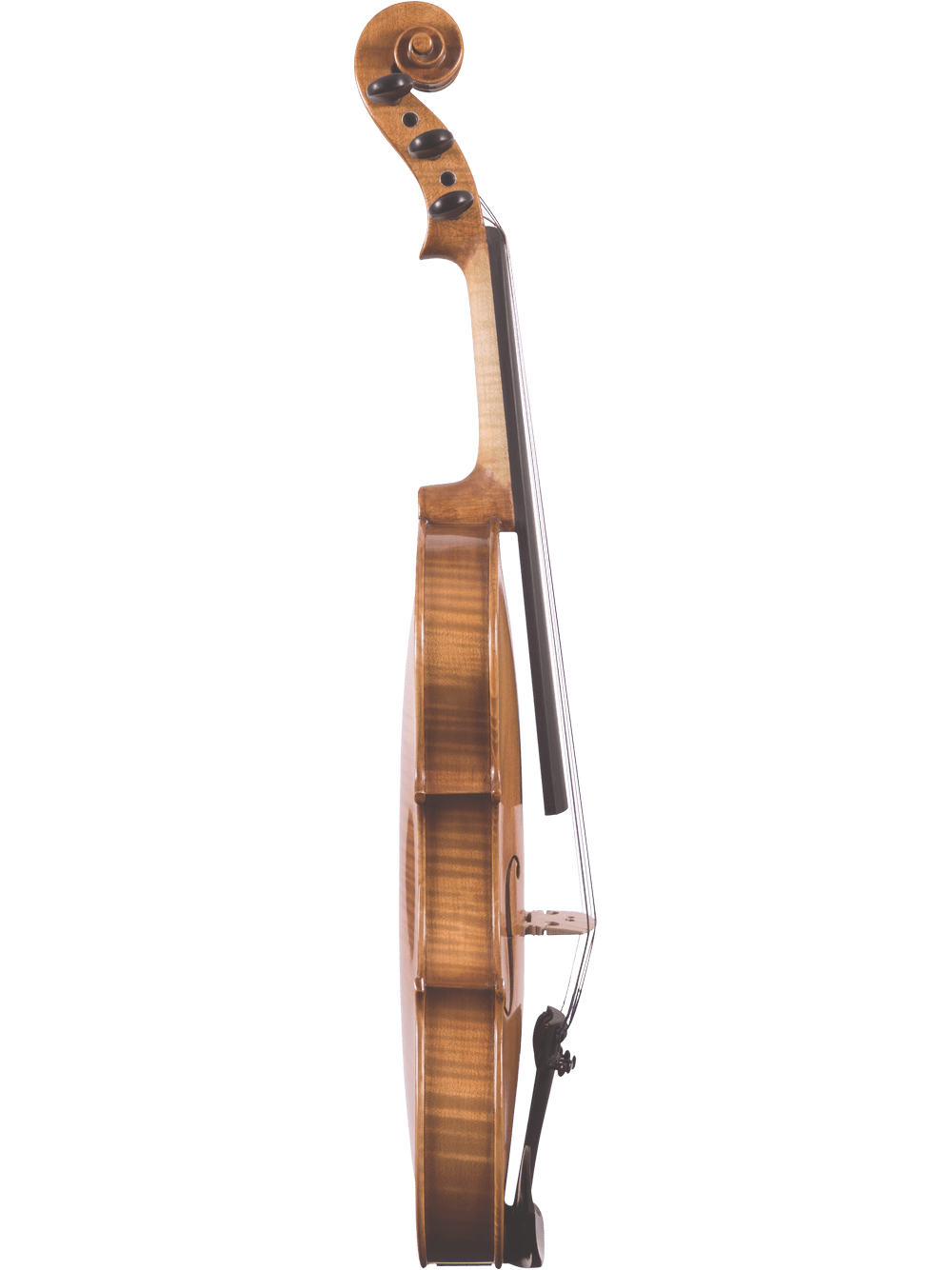 The Canzona Violina Cinque 5-String Violin is displayed from the side against a white background, highlighting its elegant curved wooden body, strings, and scroll.