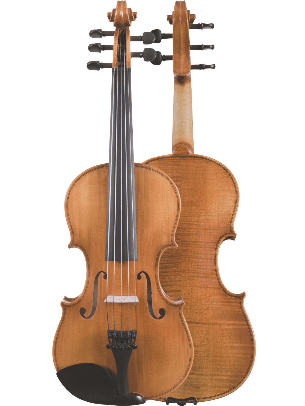 The Canzona Violina Cinque 5-String Violin is shown from the front with strings and f-holes visible and from the back to display its polished wood, making it an excellent educational instrument for music students.