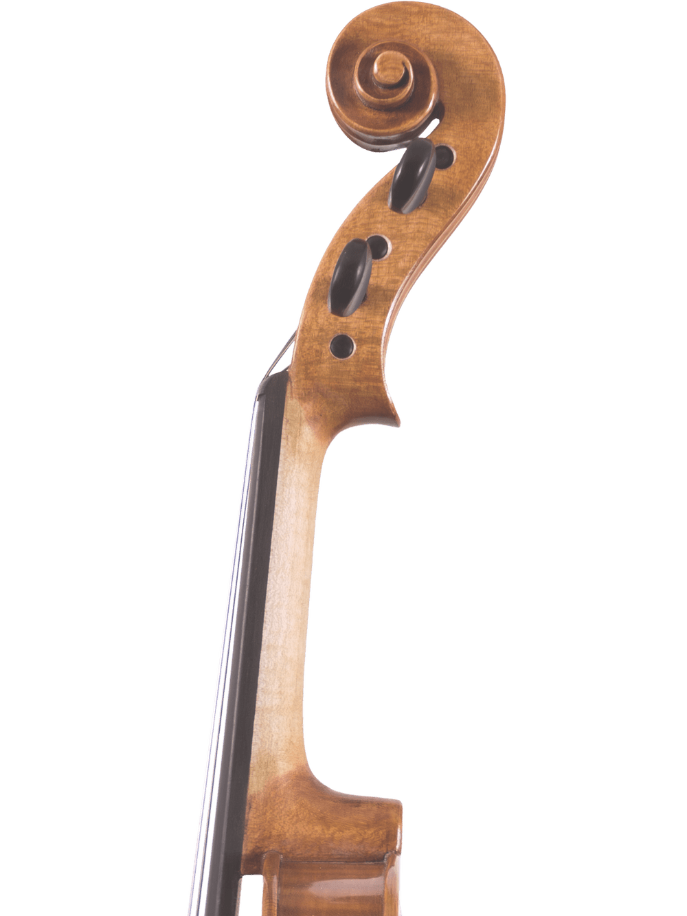 Close-up of the Canzona Violina Cinque 5-String Violin's scroll and pegbox, featuring dark tuners and a polished wood finish—an excellent educational instrument shown on a plain white background.