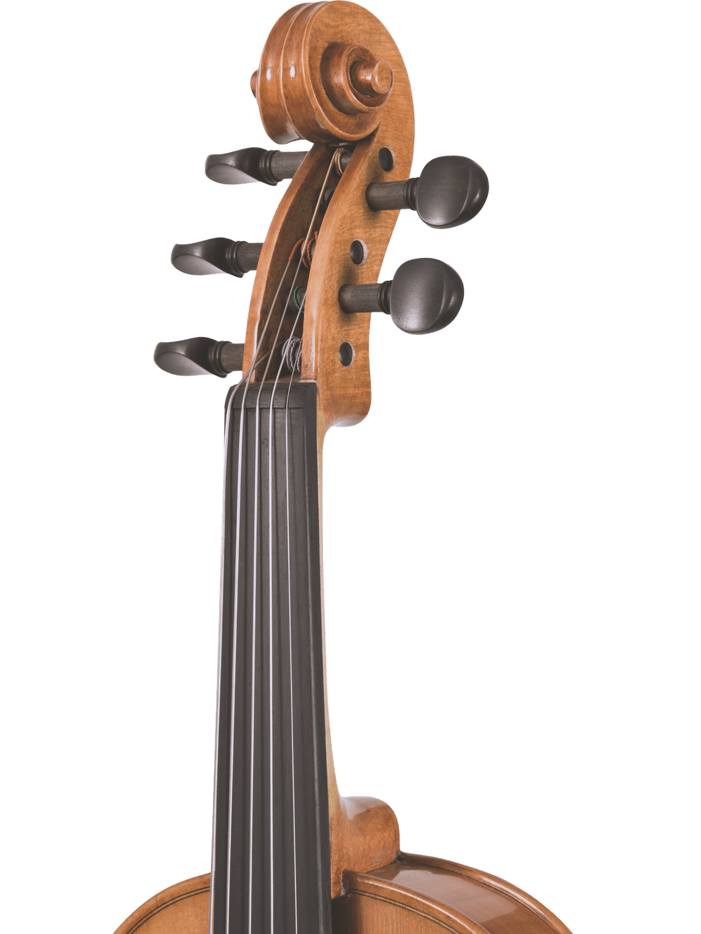 Close-up of the upper part of the Canzona Violina Cinque 5-String Violin, highlighting its scroll, tuning pegs, and fingerboard against a plain white background.