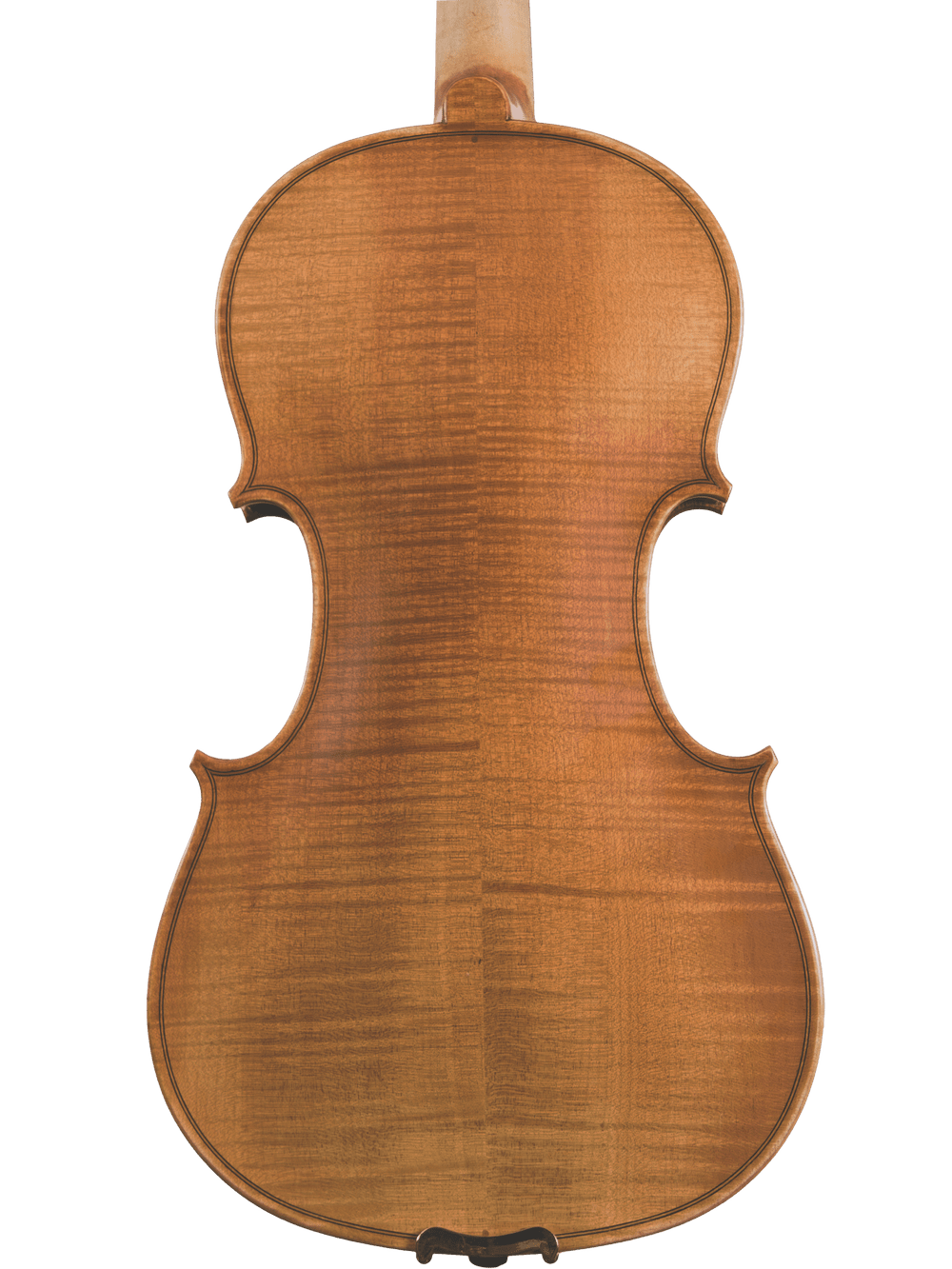 The image shows the back of a Canzona Violina Cinque 5-String Violin, featuring a smooth, polished wooden finish with visible grain and rich brown color, highlighting its elegant curves against a white background.
