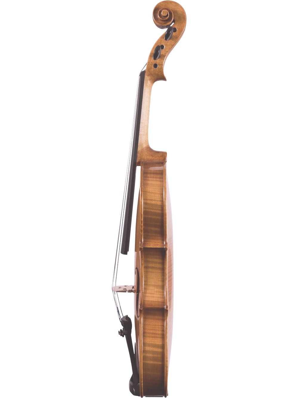 Side view of the Canzona Violina Cinque 5-String Violin against a white background, highlighting its curved body, strings, scroll, and chin rest—perfect as a versatile teaching instrument for students.