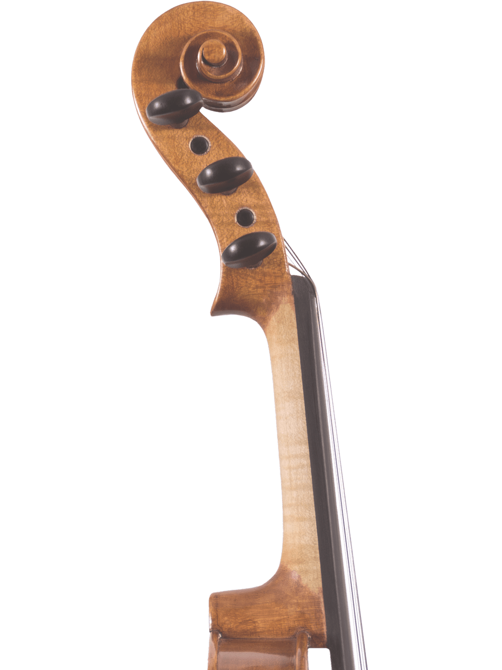 Close-up of the Canzona Violina Cinque 5-String Violin scroll and pegbox with three black tuning pegs and part of the fingerboard—an ideal, versatile teaching instrument for educational settings, shown against a white background.