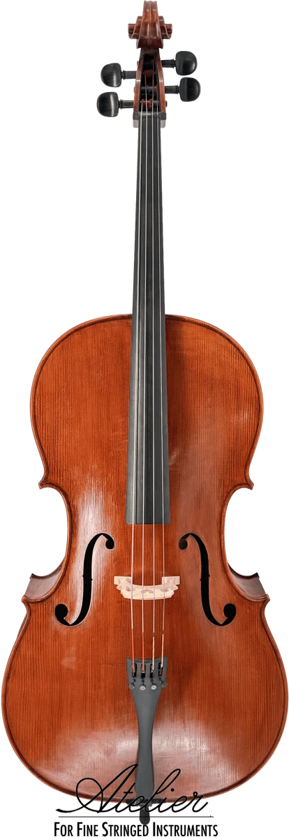 Juzek Model 303 cello, front view
