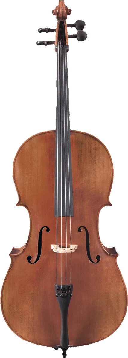 Canzona Milano 400 cello, front