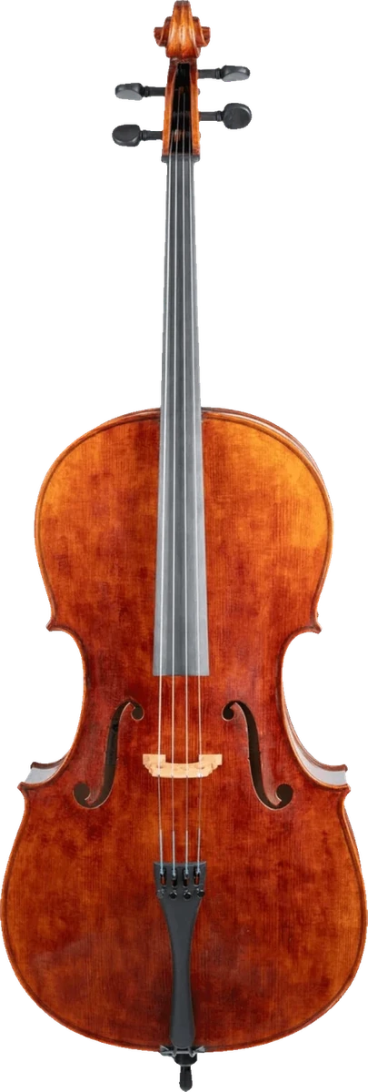 Revelle 650NS cello, front