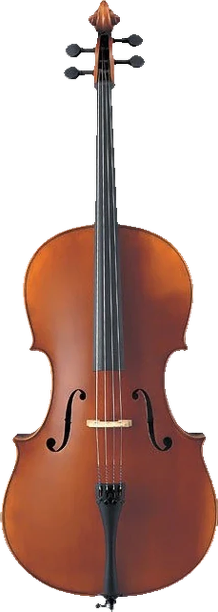 Yamaha AVC7-44SG cello, front