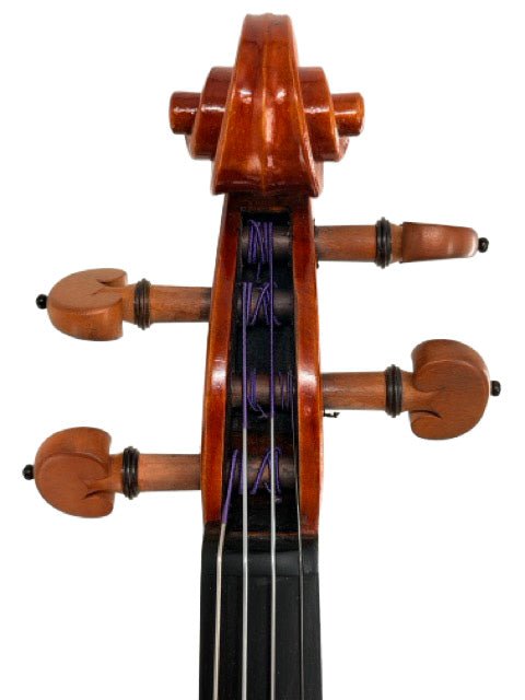 Detailed close-up of the Eastman VL200 4/4 Violin’s scroll in a warm reddish wood finish, featuring the tuning pegs, pegbox, and a section of the fingerboard—highlighting craftsmanship reminiscent of fine luthier-made instruments—photographed against a white background.